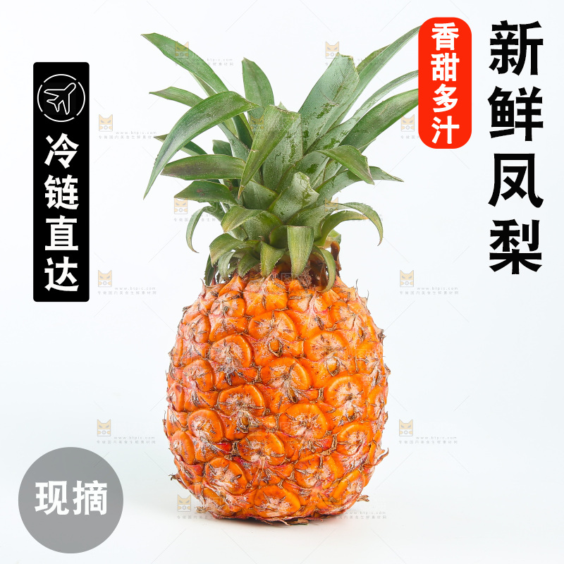 白底上的金钻凤梨