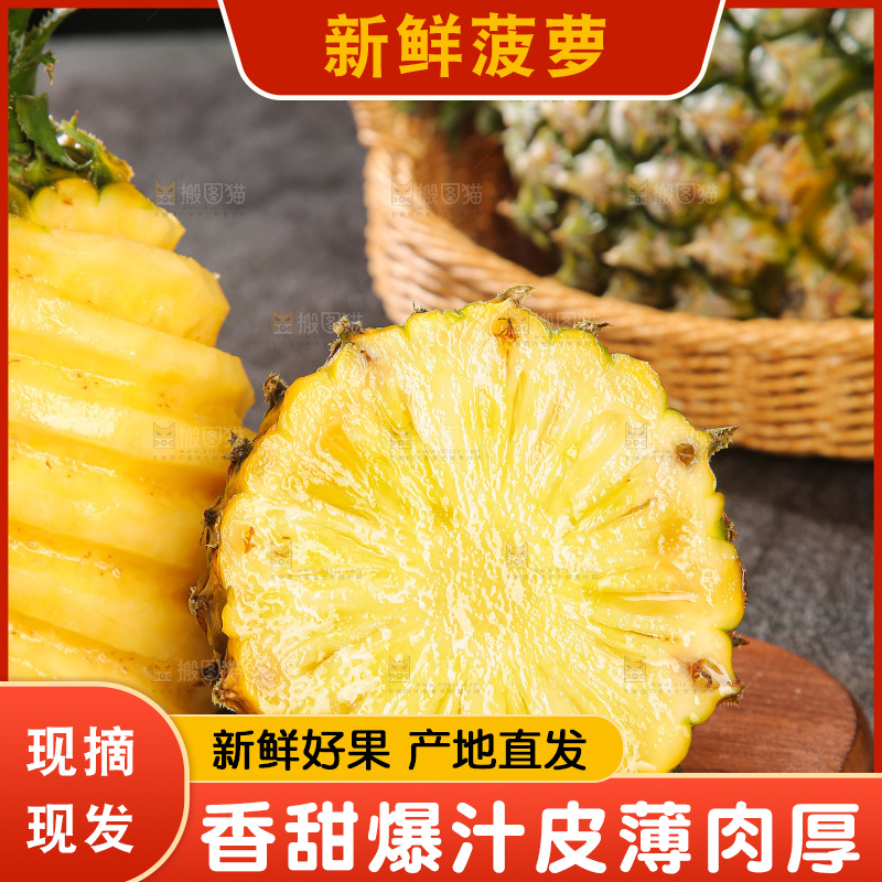 深底上的徐闻菠萝