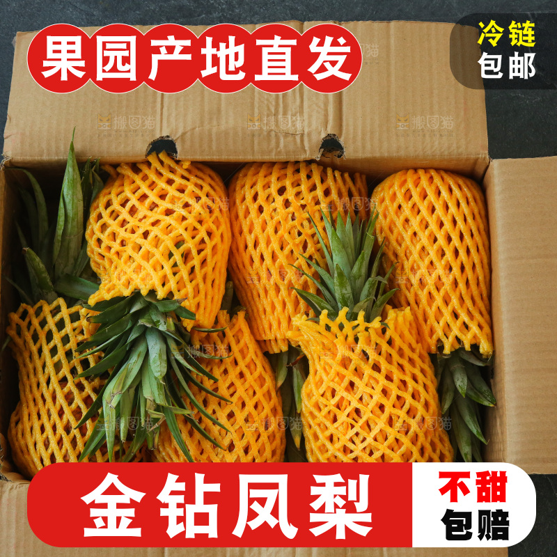 深底上的金钻凤梨