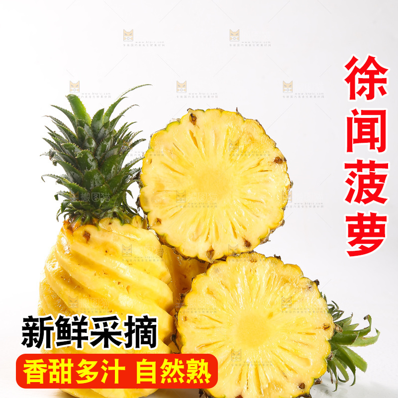 白底上的徐闻菠萝
