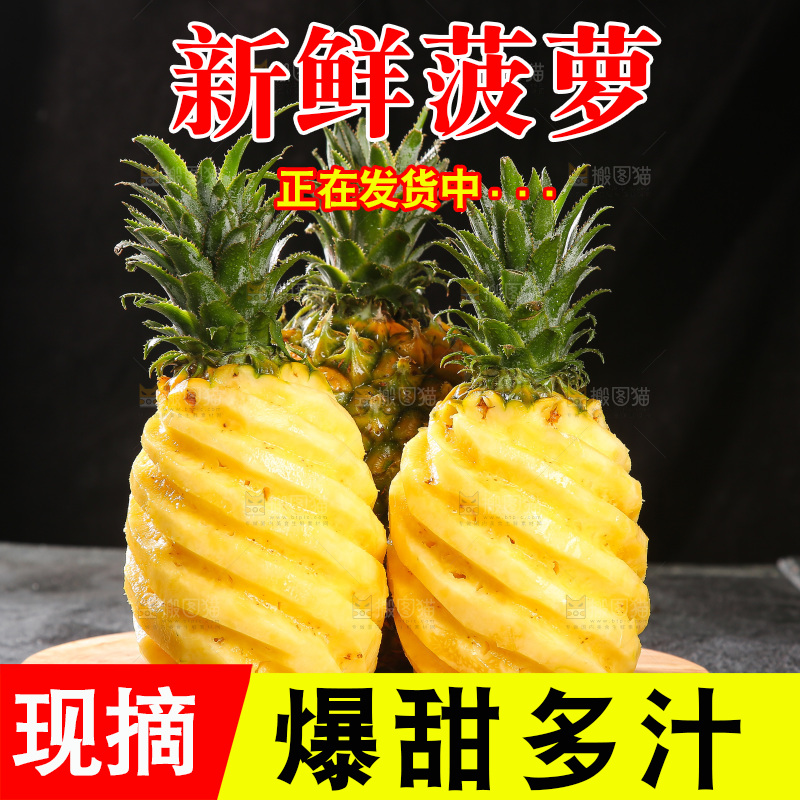 深底上的徐闻菠萝