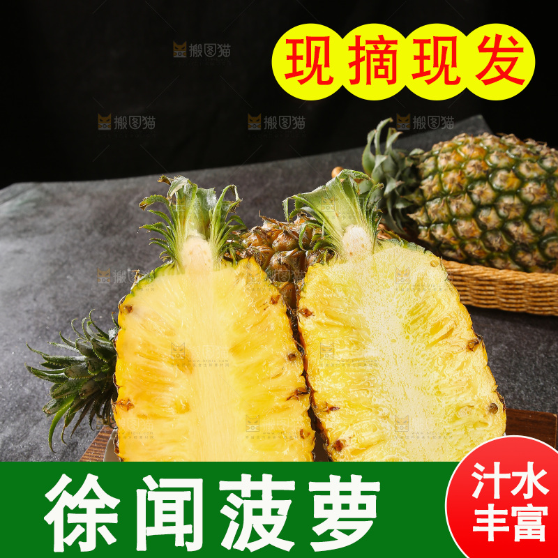 深底上的徐闻菠萝