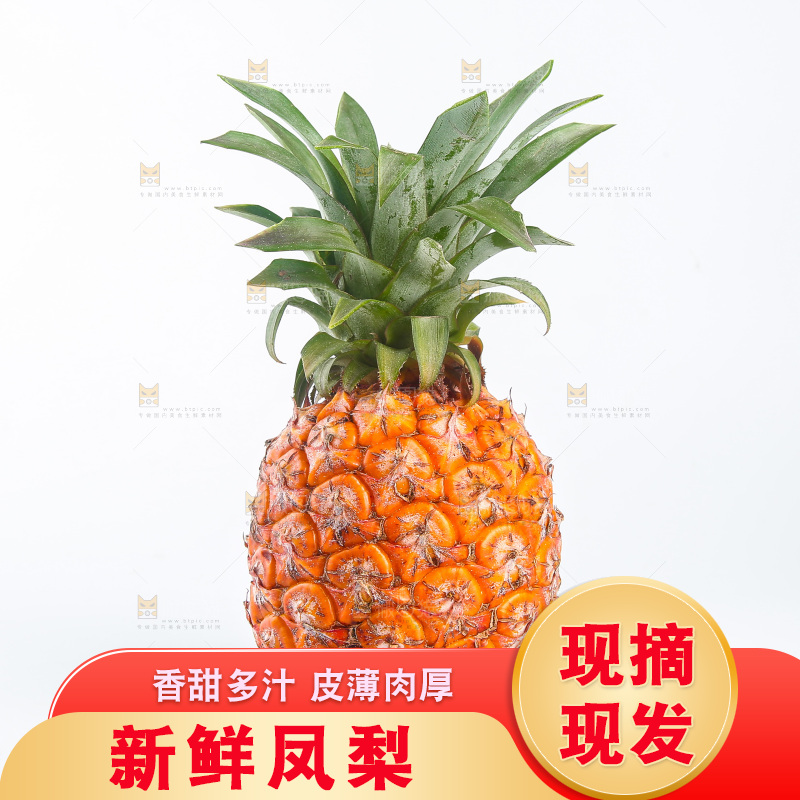 白底上的金钻凤梨