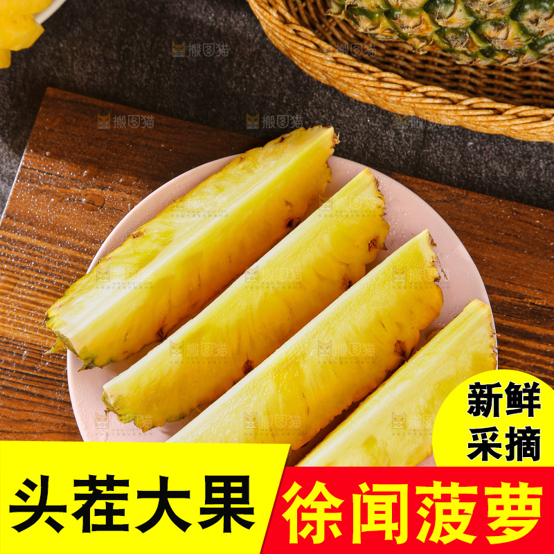 深底上的徐闻菠萝