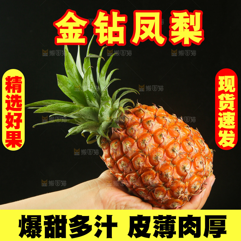 深底上的金钻凤梨