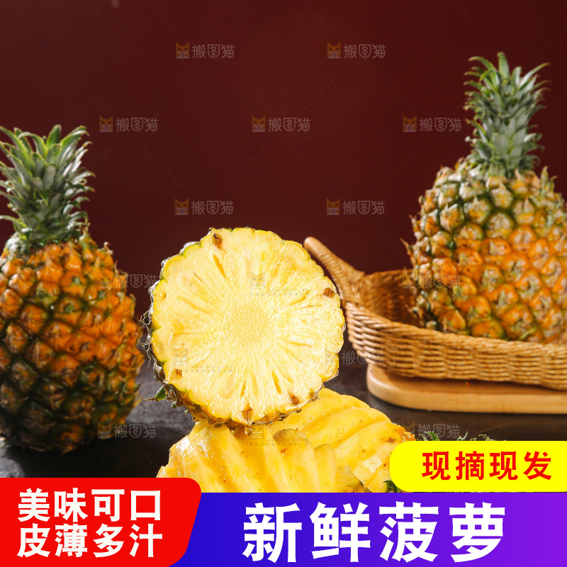 深底上的徐闻菠萝