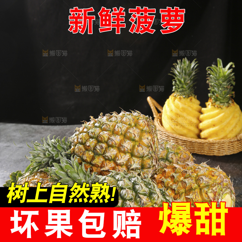 深底上的徐闻菠萝