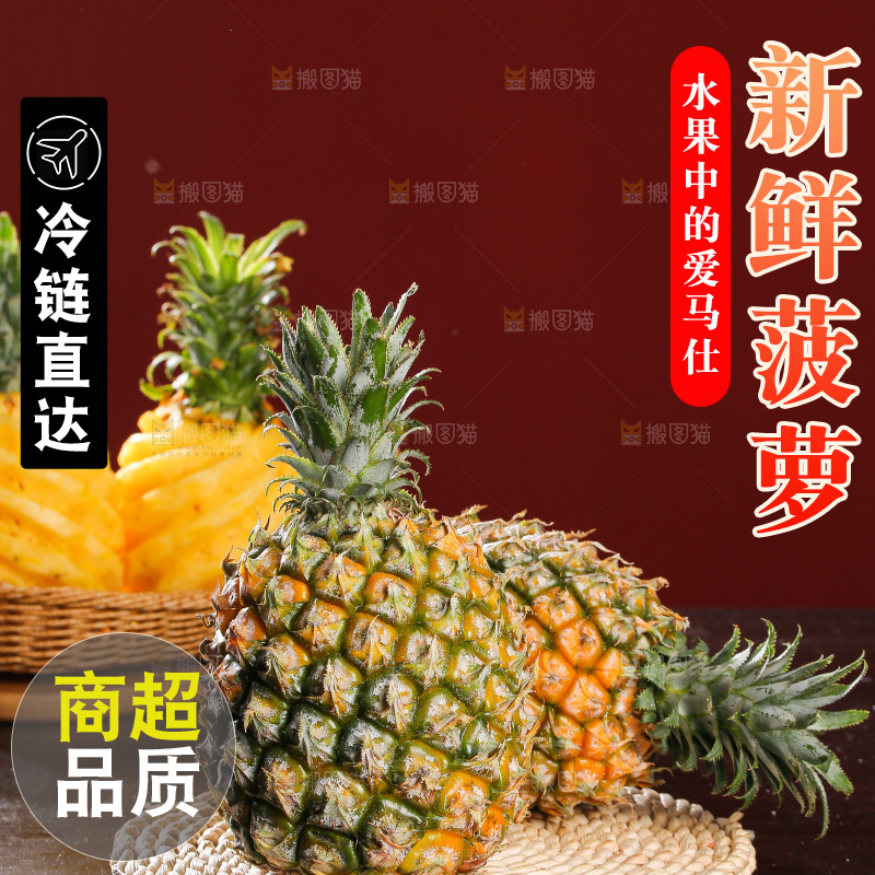 深底上的徐闻菠萝