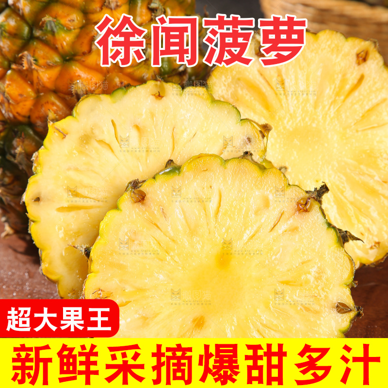深底上的徐闻菠萝