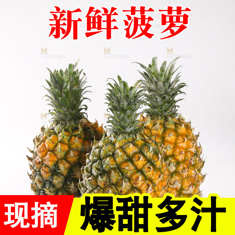 白底上的徐闻菠萝