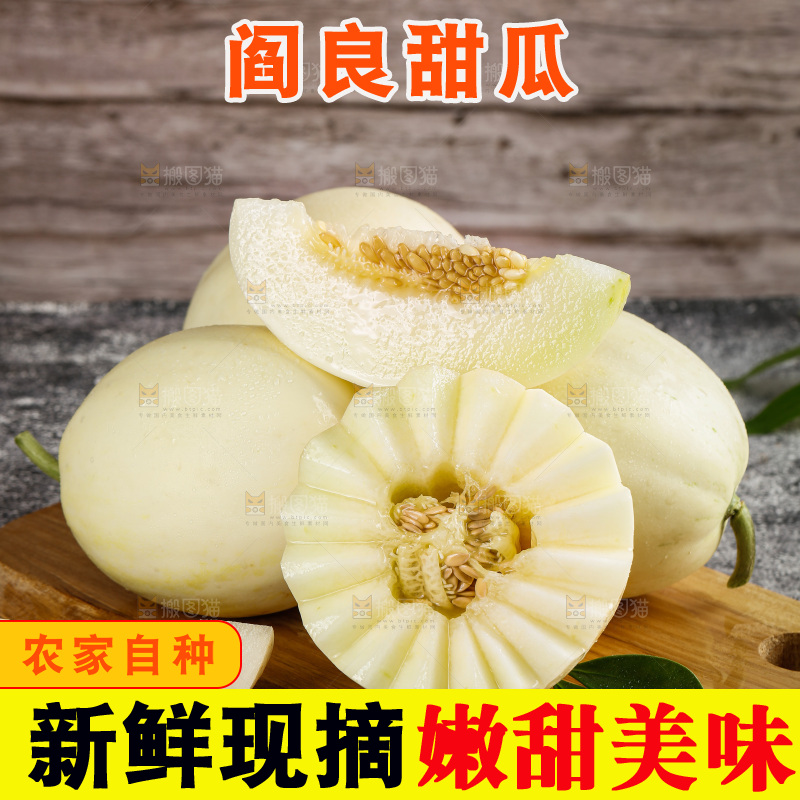 深底上的阎良甜瓜