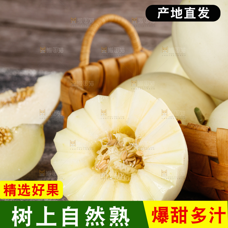 深底上的阎良甜瓜