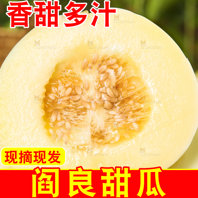 深底上的阎良甜瓜