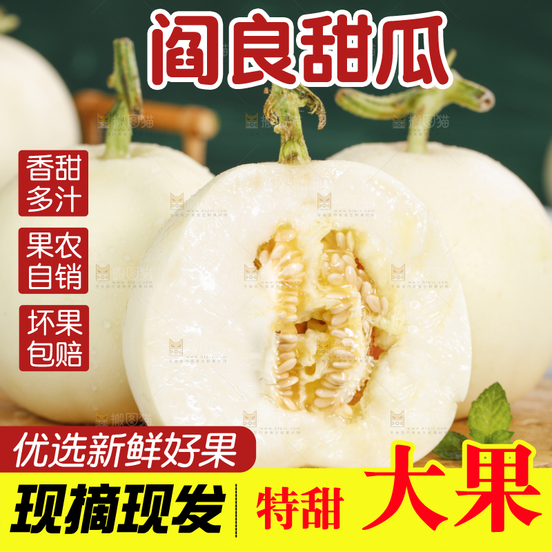 浅底上的阎良甜瓜