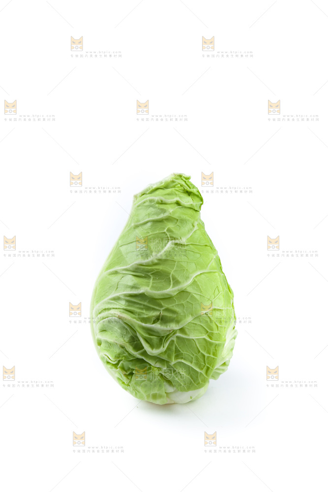 白底上的卷心菜