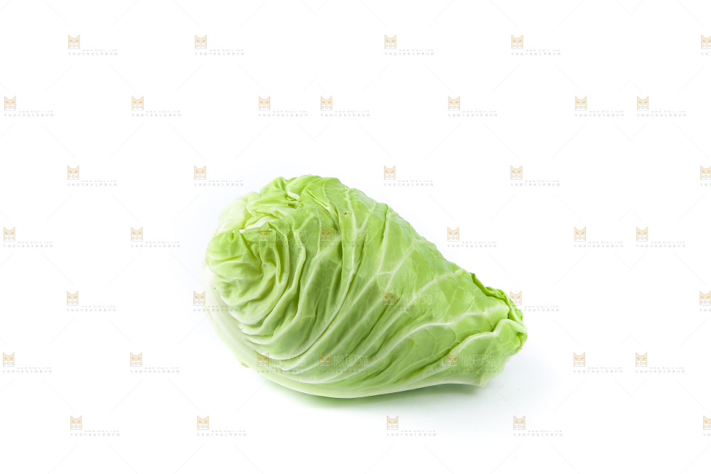 白底上的卷心菜