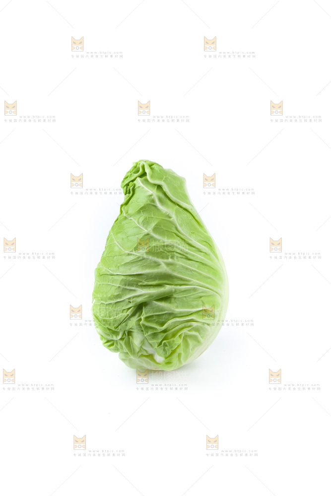 白底上的卷心菜