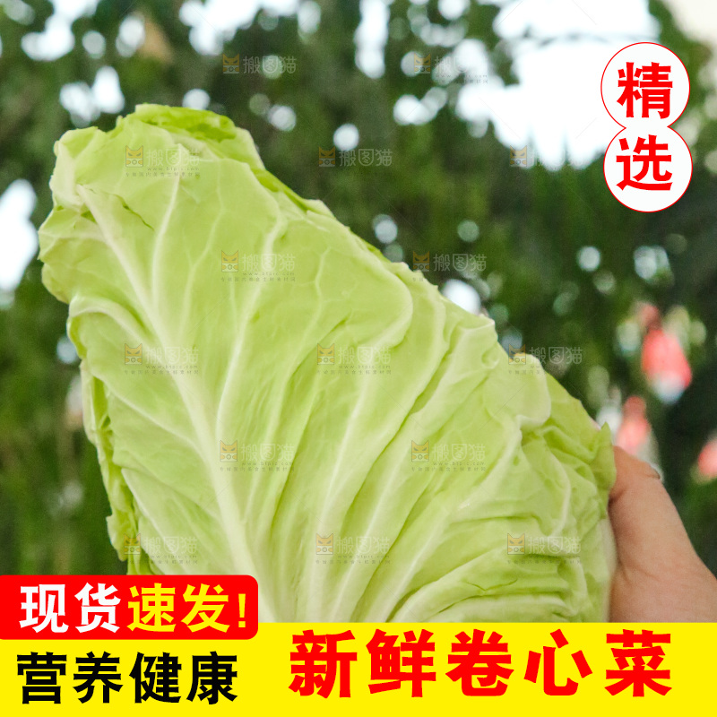 木底上的卷心菜