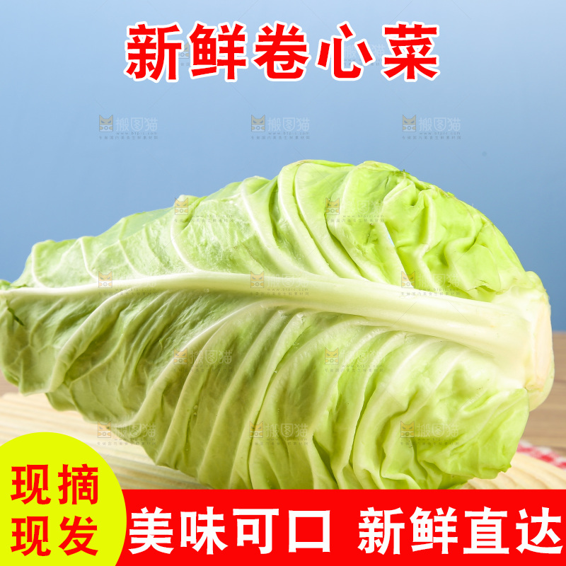 木底上的卷心菜