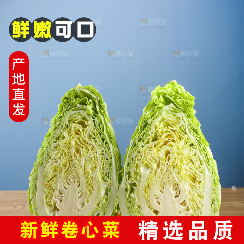 木底上的卷心菜
