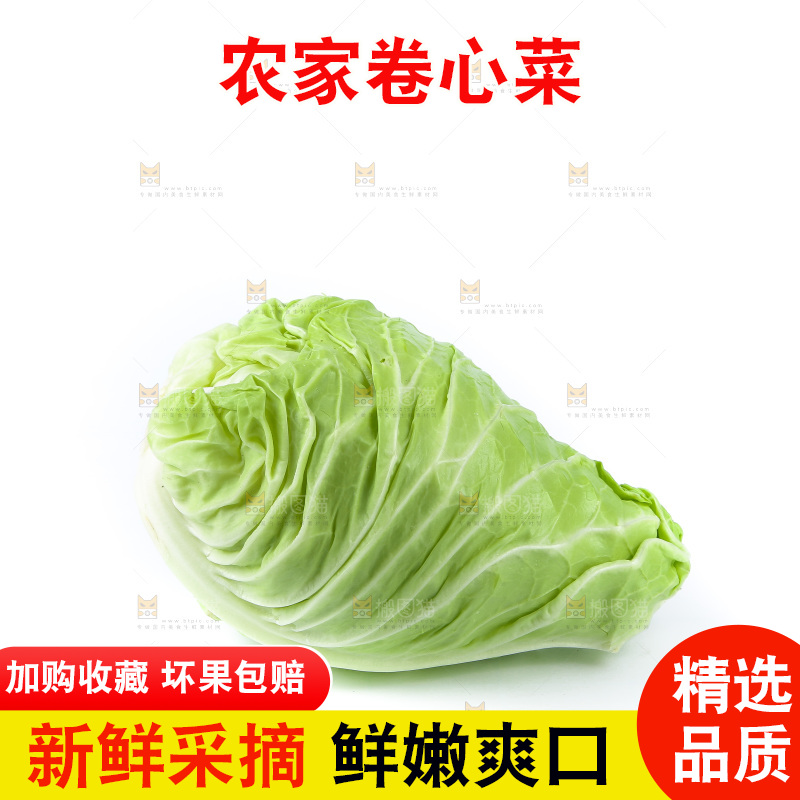 白底上的卷心菜