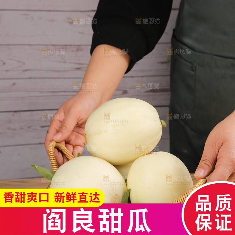 木底上的阎良甜瓜