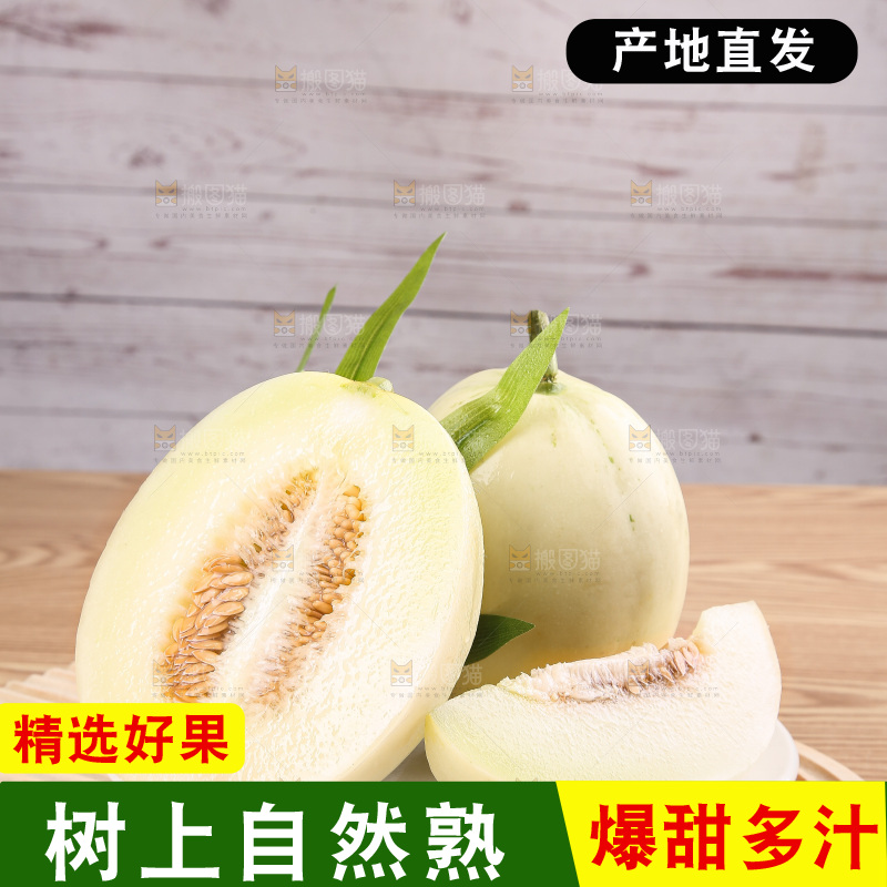 木底上的阎良甜瓜