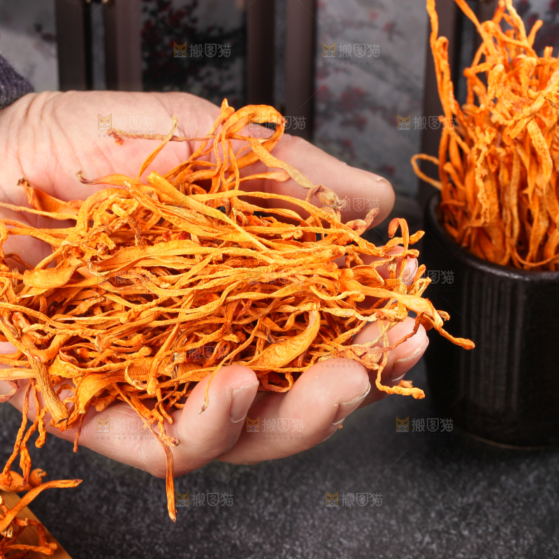 深底上的虫草花