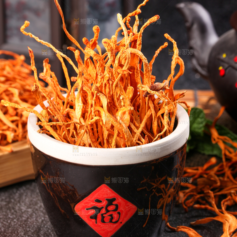 深底上的虫草花