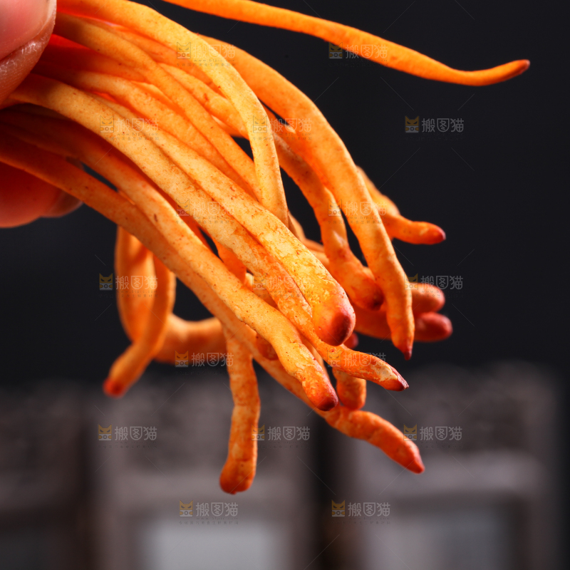 深底上的虫草花
