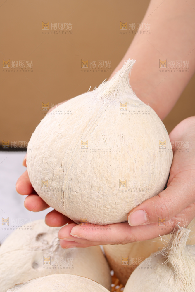 浅底上的牛奶椰皇