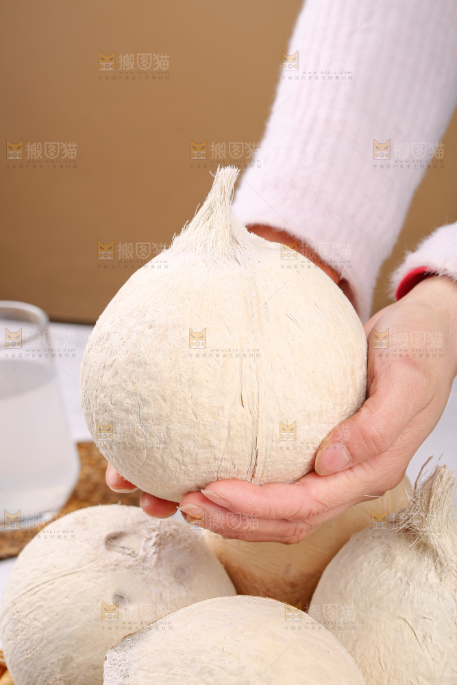 浅底上的牛奶椰皇