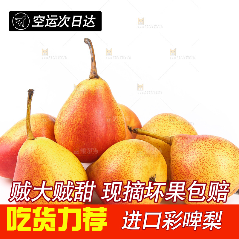 白底上的彩啤梨