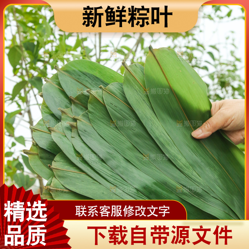 手里拿着新鲜粽叶