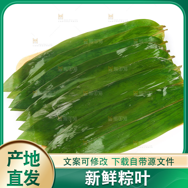 白底上的粽叶