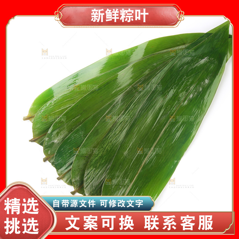 白底上的粽叶