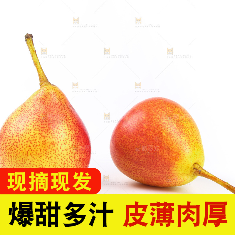 白底上的彩啤梨