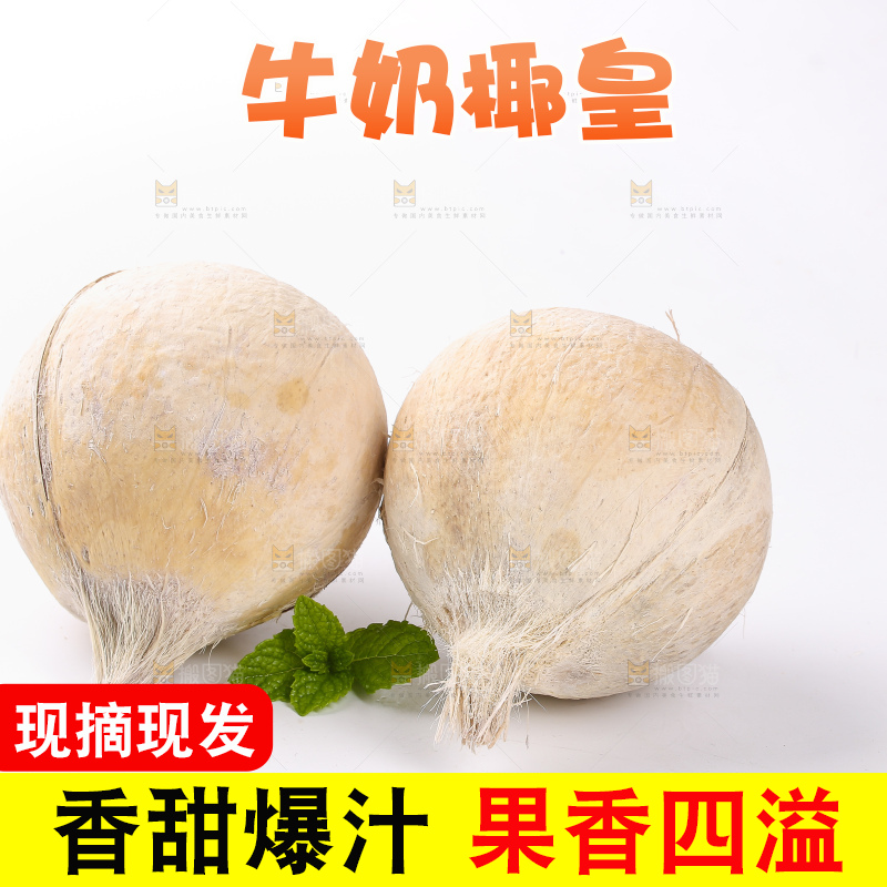 白底上的牛奶椰皇