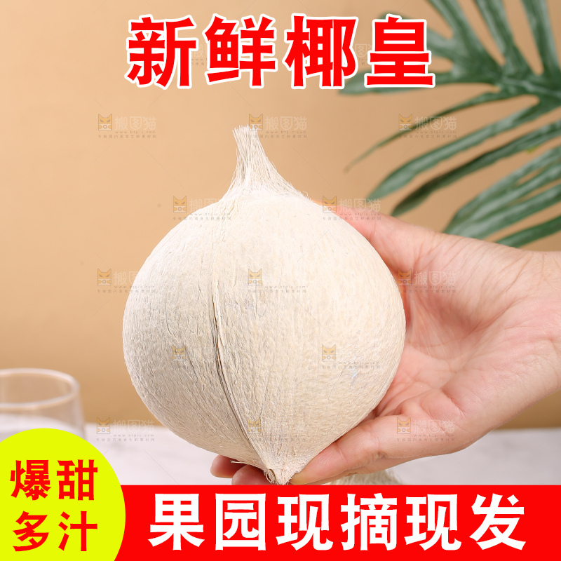 浅底上的牛奶椰皇