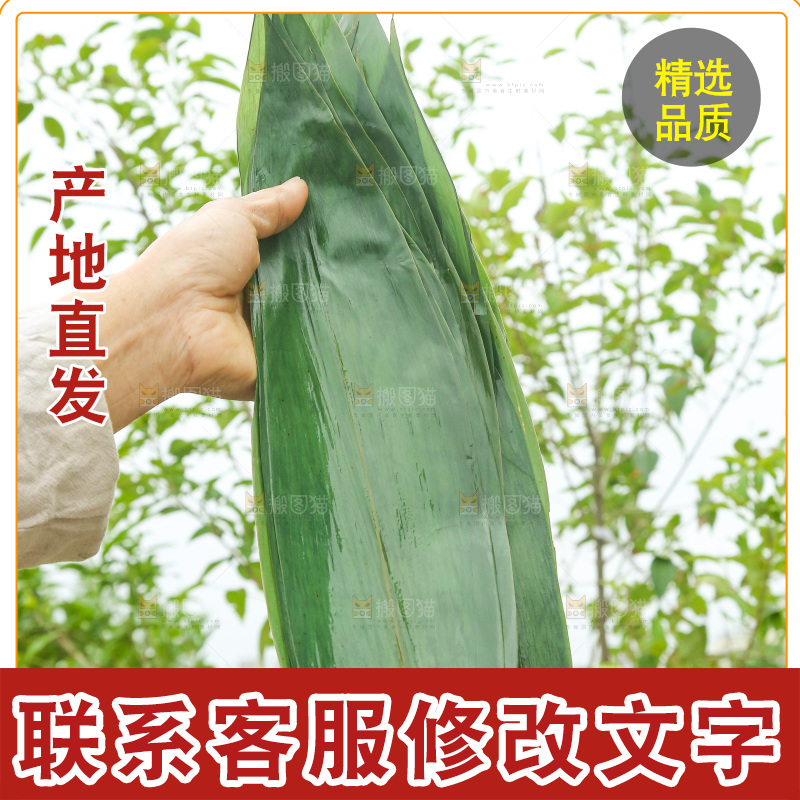 手里拿着新鲜粽叶