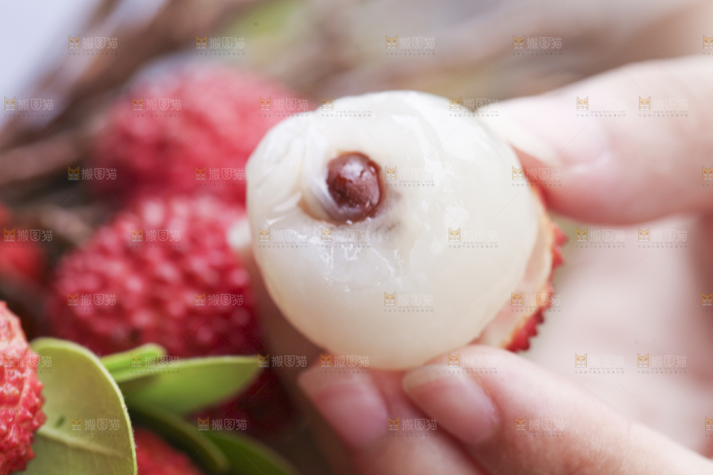 手里拿着桂味荔枝