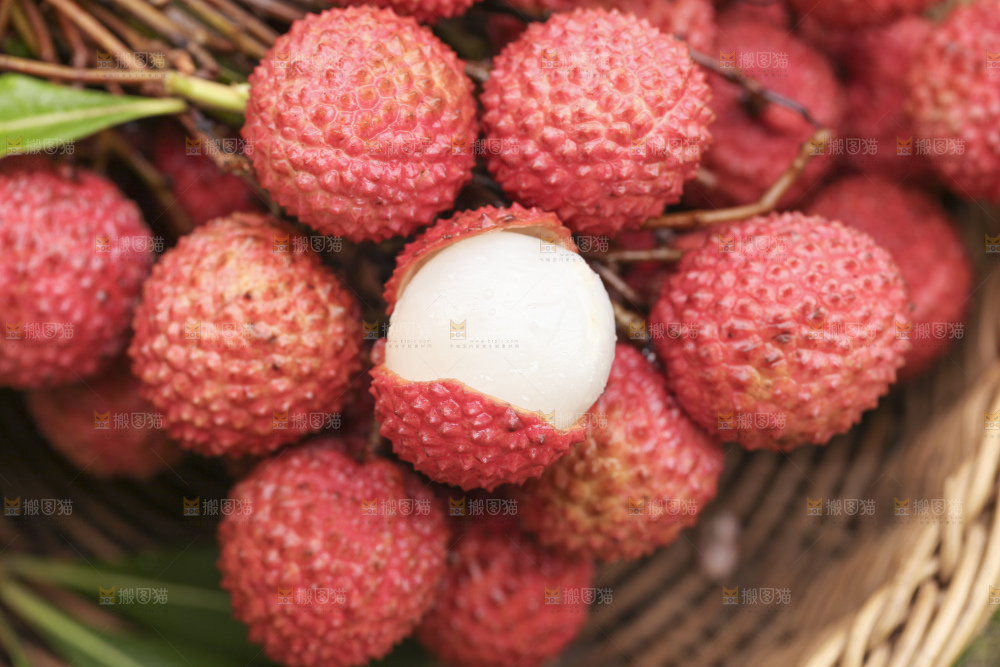 手里拿着桂味荔枝
