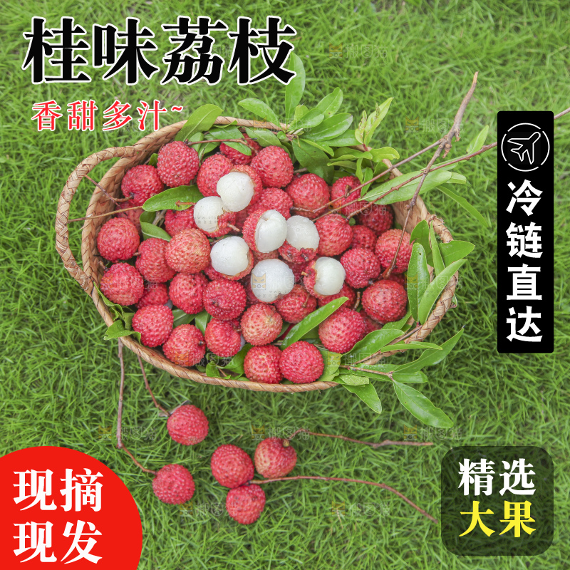 草地上放着桂味荔枝