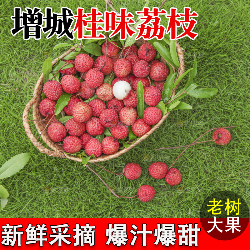 草地上放着桂味荔枝