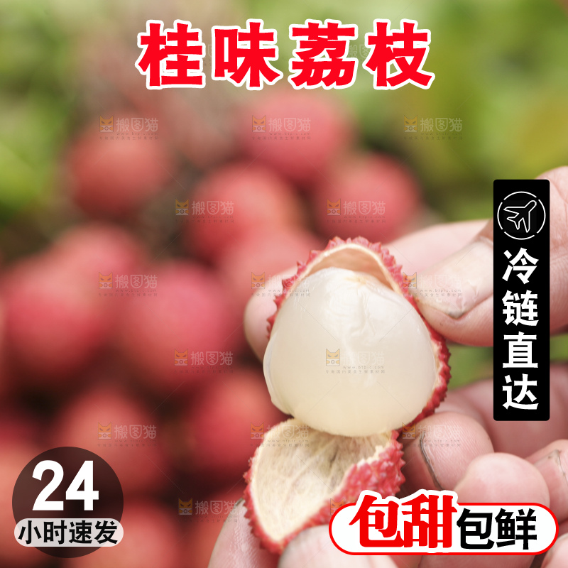 手里拿着桂味荔枝