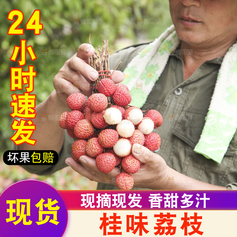 手里拿着桂味荔枝