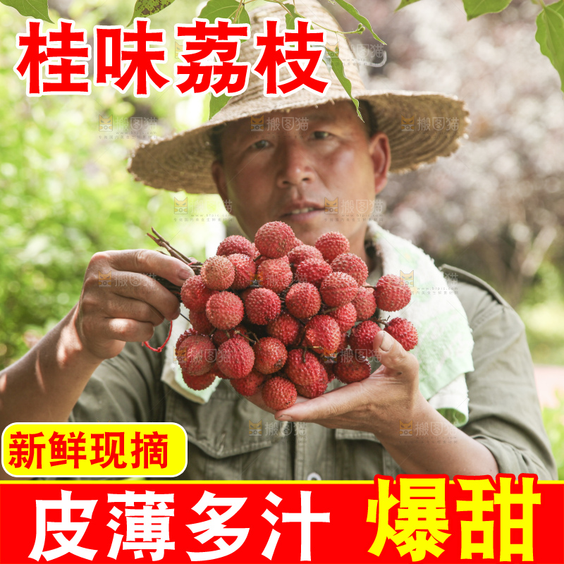 手里拿着桂味荔枝