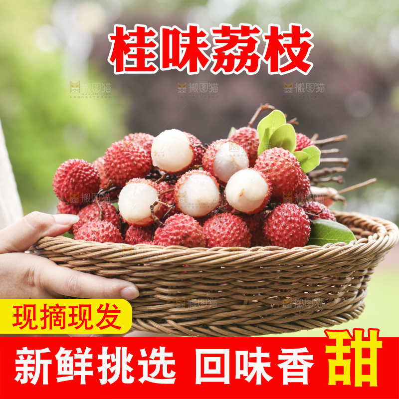 手里拿着桂味荔枝