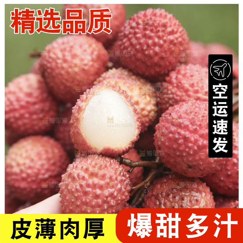 手里拿着桂味荔枝