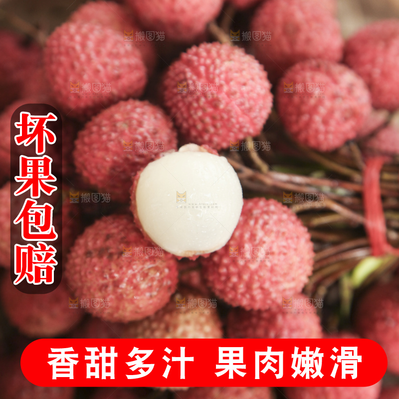 手里拿着桂味荔枝